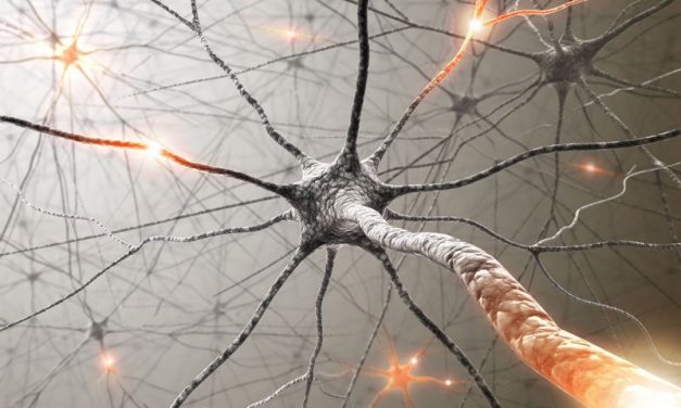 7 τρόποι για να αναπτυχθούν νέοι νευρώνες σε οποιαδήποτε ηλικία